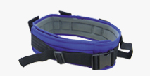 Ceinture de transfert
